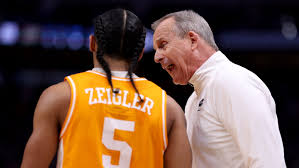 Image result for Zeuxine ballii