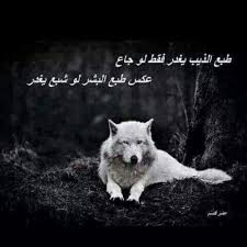 Check spelling or type a new query. Ø§Ø¬Ø¯Ø¯ Ø®Ù„ÙÙŠØ§Øª Ø°Ø¦Ø§Ø¨ Ù…ÙƒØªÙˆØ¨ Ø¹Ù„ÙŠÙ‡Ø§ 2018 ÙÙ‡Ø±Ø³