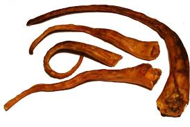 La coda di bue necessita di una cottura molto lenta e di un calore costante così che la carne diventi molto tenera, al punto di staccarsi dall'osso. Code Di Maiale Essiccate Per Cani Allevamento Cane Corso Italiano Dei Legionari Arditi Torino