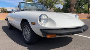 Image result for Gray 1980 Alfa-Romeo