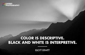 Black And White Vs Color Quotes 12 Best Black White Photography Quotes Quotes White Quotes About Photography Black And White Quotes Inspirational
