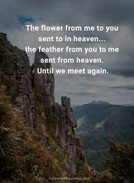 50 Until We Meet Again Quotes After Your Last Goodbye