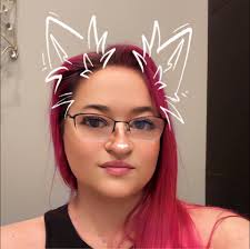 what is the main purpose of the ustraveldocs portal for tracking visa  status?