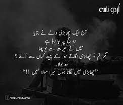 Pin By Mehwish Awan On Urdu Cool Words Urdu Quotes Urdu Words