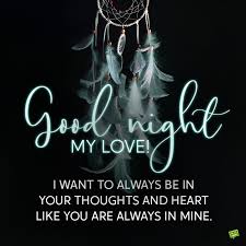 As the sun rises once again at the dawn, wake up with new hopes, dreams, and determination. Good Night My Love 100 Messages A Kiss Before You Sleep