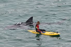 Image result for it's behind you