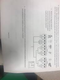 A specialized connection of two adjacent animal cell membranes such that the space usually lying between them is absent. 15 Shown Below Is A Diagram Indicating The Chegg Com