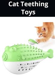 Kedi Oyuncaklari