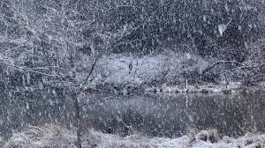 Snow falls as 2-6″ expected in DC area; schools announce delays, closures