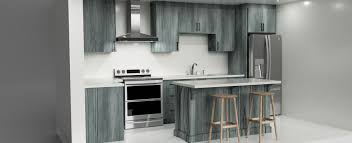 Acquiring a roommate will be an easier task if the. Basement Apartment Kitchen Autodesk Online Gallery