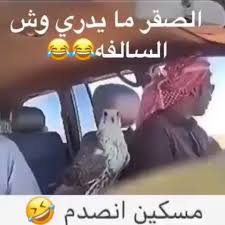 Pin On مقاطع Alawroi