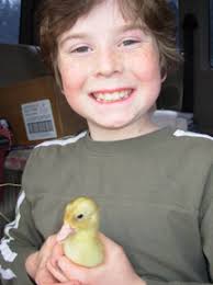 UPDATE: Friday Harbor, San Juan Island, Washington State