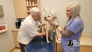Each invoice (one invoice per pet) is subject to a service charge of $5. College Park Vet Veterinary Clinic College Park Pet Wellness Clinic