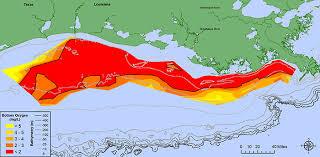 Gulf Of Mexico Dead Zone Is The Largest Ever Measured
