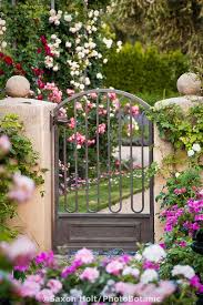 Pin On Country Gardens