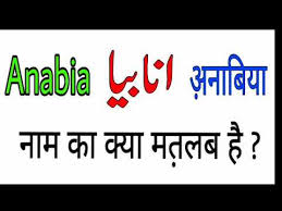 Anabia Name Meaning In Urdu Anabia Naam Ka Matlab Lucky Colour Rizwan Voice Youtube Anabia name meaning in urdu. anabia name meaning in urdu anabia