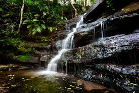 Enjoy your meal amidst lush rainforest that feels a million miles away but in reality is so close to home. Somersby Falls Australia Image Portfolio Danny Irvine Photography