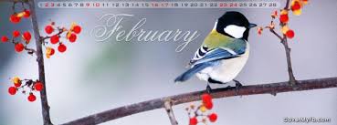 Use the animate feature to make elements pan, rise or tumble onto your page. February Quotes Fb Covers Quotesgram