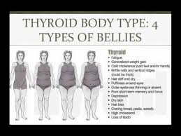 Thyroid Body Type 4 Types Of Bellies Click Here For The Hypothyroidism Revolution Program Thyroid Thyroiddi Thyroid Body Type Thyroid Treatment Thyroid