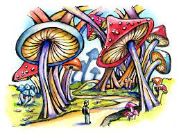 Entering The Mushroom Forest Doodlewash Next, round off the bottom of the two mushrooms! entering the mushroom forest doodlewash