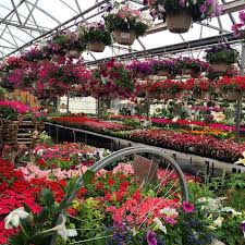 Spent Quality Time With Mom At The Local Garden Center We Went To When I Was A Child But Now I M The One Teaching Her Abou Garden Outside Living