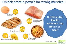 They depend on other organism. Unlock The Power Of Protein To Keep Your Muscles Strong Nutrition For Non Nutritionists
