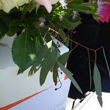 Maybe you would like to learn more about one of these? Vogue Flower Market 55 Photos 47 Reviews Florists 1106 Parham Rd Richmond Va Phone Number Yelp