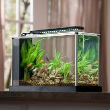 Best betta tanks for small spaces. Fluval Spec V 5 Gallon Desktop Aquarium Kit Aquarium Supplies At Liveaquaria