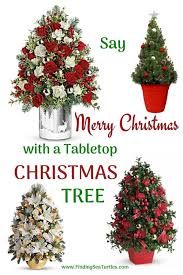 Maybe you would like to learn more about one of these? Best Fresh Tabletop Christmas Trees