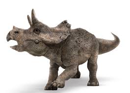 Triceratops Prehistoric Animals Dinosaur Dinosaur Pictures