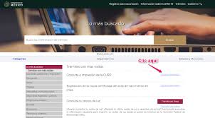 Como Consultar Mi Curp Si No Me Lo Se