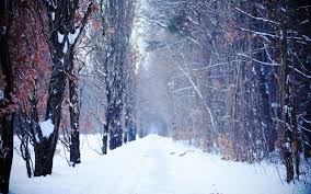 Winter Backgrounds Tumblr Background 1 Hd Wallpapers Winter Desktop Background Winter Background Winter Backdrops Take a look at related galleries. winter backgrounds tumblr background 1