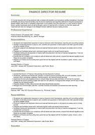 Finance manager resume cv example crossword template accounting. Finance Director Resume Great Sample Resume
