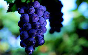 This article lists the names of colors in french. How To Say Purple In French What Is The Meaning Of Mauve Ouino