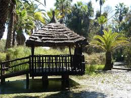 Les Jardins Exotiques De Bouknadel Rabat 2020 All You Need To Know Before You Go With Photos Tripadvisor