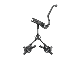 Image result for Beschorneria sp. (Biegel 5357)