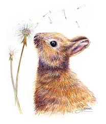Sometimes inspiration just doesn't strike and you need a little help to get started. The Rabbit And The Dandelion Susan Gammon