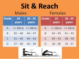 cooper standards sit and reach hos ting