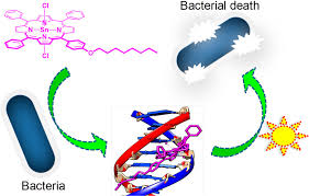 Blok 404 hidup sampai mati 2018 official teaser fasha sandha syamsul yusof kamal adli youtube. Dna Targeting Long Chain Alkoxy Appended Tin Iv Porphyrin Scaffolds Photophysical And Antimicrobial Pdt Investigations Acs Applied Bio Materials