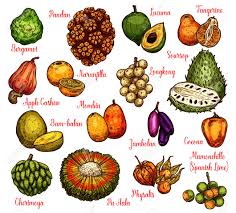 Abc order fruits and veggies. Fruit Names With Pictures