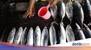 Harga bubur ikan mcd reviewed by admin on 11:58 pm rating: Tak Semua Mahal Masyarakat Bisa Konsumsi Ikan Jenis Ini