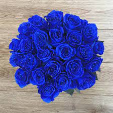 Use it in garden beds and borders, as well in containers. Blue Roses Bouquet Delivery Rosaholics Com