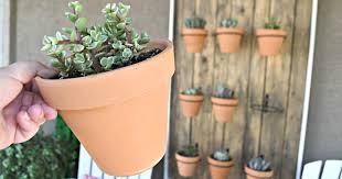 (i told you, calling this a diy is a stretch.) however before you get started, make sure you create a. Build This Diy Hanging Succulent Wall For Your Patio Hip2save