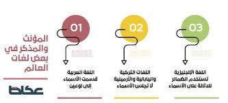 المؤنث يتساوى مع المذكر في لغة العرب أخبار السعودية صحيفة عكاظ