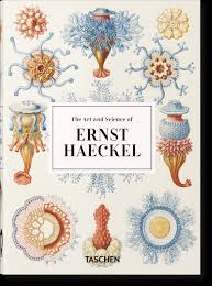 For more information about our organization, please visit ey.com. The Art And Science Of Ernst Haeckel 40th Anniversary Edition