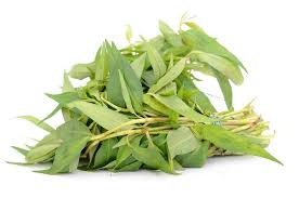 I am a chinese and i am learning russian, would you like to contact with me and we could learn with each other? Vietnamese Coriander Facts And Health Benefits