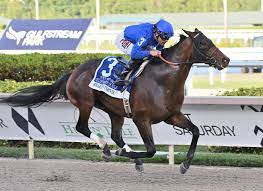Gulfstream Park Racing Schedule 2022 G-Oeawcmbo2Ncm