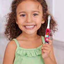 Amazon.com: Firefly Ready Go Light Up Timer Toothbrush, L.O.L. Surprise!,  Premium Soft Bristles, 1 Minute Timer, Less Mess Suction Cup, Battery  Included, Easy Storage, Dentist Recommended, Ages 3+, 1 Pack : Health &  Household