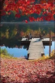 Colors Of Fall In Algonquin Park Autumn Scenery Lake Photo
