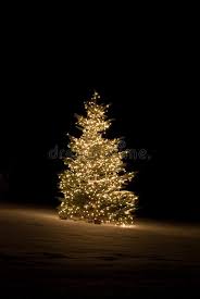 Christmas Tree Pine Tree In Snow Lit Up With Christmas Lights Ad Pine Tree Christmas Tre Classic Christmas Christmas Lights Christmas Tree Lighting